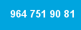 964 751 90 81